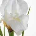 IRYS sztuczny kwiat dekoracyjny z płatkami z jedwabistej tkaniny - 61 cm - kremowy 2