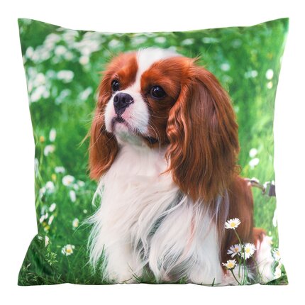 Poszewka welwetowa ANIMAL zdobiona nadrukiem psa 45 x 45 cm zielony,biały | Eurofirany