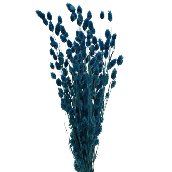 BUKIET SUSZONYCH TRAW naturalny susz - 70 cm - niebieski