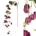 PNĄCZE KWITNĄCE, kwiat sztuczny dekoracyjny z pianki foamiran - 167 cm - amarantowy 1
