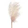 TRAWA PAMPASOWA - OZDOBNY PIÓROPUSZ kwiat sztuczny dekoracyjny - 80 cm - biały 1