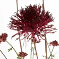 ROZCHODNIK kwiat sztuczny dekoracyjny - 85 cm - bordowy 2