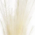 TRAWA PAMPASOWA - OZDOBNY PIÓROPUSZ kwiat sztuczny dekoracyjny - 80 cm - kremowy 2