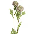 DRIAKIEW GWIAŹDZISTA kwiat sztuczny dekoracyjny z płatkami z jedwabistej tkaniny - ∅ 6 x 50 cm - zielony 1