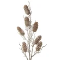 Zimowa gałązka dekoracyjna z naturalnymi szyszkami - 10 x 80 cm - jasnobrązowy 3