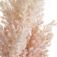TRAWA PAMPASOWA - OZDOBNY PIÓROPUSZ kwiat sztuczny dekoracyjny - 77 cm - kremowy 2