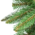 Choinka zielone drzewko na pniu ŚWIERK - kolekcja Świerków Żywieckich - 180 cm - ciemnozielony 4