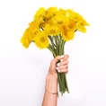 GERBERA MINI, MARGARETKA bukiet, kwiat sztuczny dekoracyjny, sylikonowy - ∅ 6 x 33 cm - żółty 3
