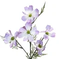 KOSMOS PIERZASTY, kwiat sztuczny dekoracyjny - dł. 60 cm dł. z kwiatami 28 cm śr. kwiat 8 cm - jasnofioletowy 1