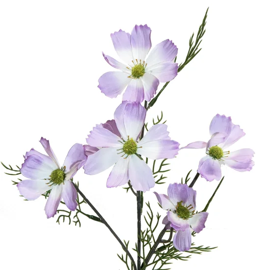 KOSMOS PIERZASTY, kwiat sztuczny dekoracyjny - dł. 60 cm dł. z kwiatami 28 cm śr. kwiat 8 cm - jasnofioletowy