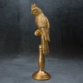 Papuga - figurka dekoracyjna złota - 12 x 9 x 35 cm - złoty 1