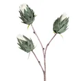 KWIAT KARCZOCH, kwiat sztuczny dekoracyjny z pianki plastycznej - dł. 85 cm dł. kwiat 10 cm - biały 1