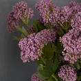 KALINA gałązka, kwiat sztuczny dekoracyjny - ∅ 5 x 50 cm - fioletowy 2
