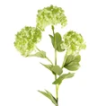 KALINA kwiat sztuczny dekoracyjny - dł. 60 cm śr. kwiat 7 cm - zielony 1