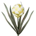 KARCZOCH - Sztuczny kwiat dekoracyjny z pianki foamirian - ∅ 12 x 60 cm - jasnozielony 1
