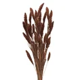 BUKIET SUSZONYCH TRAW POLNYCH naturalny susz - 65 cm - brązowy 1