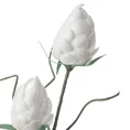 KARCZOCH DWUKWIATOWY - Sztuczny kwiat dekoracyjny z pianki foamirian - 93 cm - biały 2