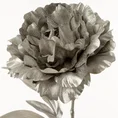 Świąteczny kwiat dekoracyjny z dwóch rodzajów błyszczących tkanin - 12 x 65 cm - srebrny 2