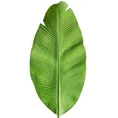 DUŻY OZDOBNY LIŚĆ BANANOWCA, kwiat sztuczny dekoracyjny z silikonu - 95 cm - zielony 1