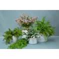 DROBNE LIŚCIE bukiet, kwiat sztuczny dekoracyjny - dł. 33 cm dł. z listeczkami 20 cm - zielony 3
