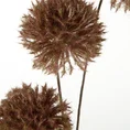CZOSNEK OZDOBNY kwiat sztuczny dekoracyjny - 63 cm - brązowy 2