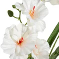 Kwiat sztuczny dekoracyjny z płatkami z jedwabistej tkaniny - ∅ 9 x 80 cm - kremowy 2