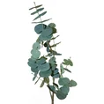 EUKALIPTUS gałązka, kwiat sztuczny dekoracyjny - dł.90cm dł.liści 50cm/5cm - zielony 1