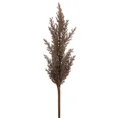 TRAWA PAMPASOWA - OZDOBNY PIÓROPUSZ kwiat sztuczny dekoracyjny - 77 cm - brązowy 1