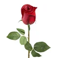 RÓŻA kwiat sztuczny dekoracyjny - 54 cm - czerwony 1
