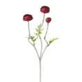 PEŁNIK - JASKIER kwiat sztuczny dekoracyjny - ∅ 5 x 60 cm - bordowy 1