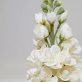 LEWKONIA kwiat sztuczny dekoracyjny - dł. 82 cm dł. z kwiatami 25 cm - kremowy 2