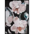 Obraz orchid flower nadruk delikatnych storczyków na płótnie obraz oprawiony w ramę - 50 x 70 cm - czarny 1