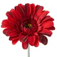 GERBERA sztuczny kwiat dekoracyjny o płatkach z jedwabistej tkaniny - ∅ 12 x 55 cm - czerwony 1