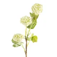 KALINA gałązka, kwiat sztuczny dekoracyjny - ∅ 5 x 50 cm - biały 1