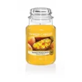 YANKEE CANDLE - Duża świeca zapachowa w słoiku - Mango Peach Salsa - ∅ 11 x 17 cm - pomarańczowy 1