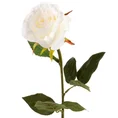 RÓŻA kwiat sztuczny dekoracyjny z płatkami z jedwabistej tkaniny - ∅ 7 x 63 cm - kremowy 1