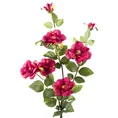 DZIKA RÓŻA gałązka, kwiat sztuczny dekoracyjny - ∅ 5 x 75 cm - amarantowy 1