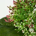 HORTENSJA Kwiat sztuczny dekoracyjny - ∅ 14 x 40 cm - zielony 2