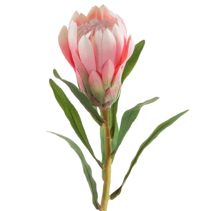 PROTEA - sztuczny kwiat dekoracyjny o płatkach z jedwabistej tkaniny PROTEA - sztuczny kwiat dekoracyjny o płatkach z jedwabistej tkaniny - ∅ 9 x 63 cm