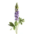 ŁUBIN kwiat sztuczny dekoracyjny - 80 cm - fioletowy 1