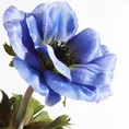 ANEMON kwiat sztuczny dekoracyjny z płatkami z jedwabistej tkaniny - 53 cm - ciemnoniebieski 2