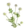 OSET OZDOBNY kwiat sztuczny dekoracyjny - ∅ 3 x 70 cm - zielony 1
