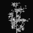 Zimowa gałązka bluszczu zdobiona brokatem - 78 cm - srebrny 3
