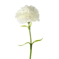 GOŹDZIK kwiat sztuczny dekoracyjny z płatkami z jedwabistej tkaniny - ∅ 8 x 40 cm - kremowy 1