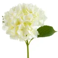 HORTENSJA kwiat sztuczny dekoracyjny z płatkami z jedwabistej tkaniny - dł. 66 cm śr. kwiat 16 cm - biały 1