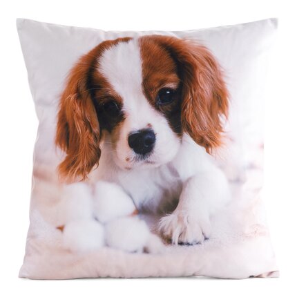 Poszewka welwetowa ANIMAL zdobiona nadrukiem psa 45 x 45 cm biały,brązowy | Eurofirany