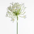 AGAPANT sztuczny kwiat dekoracyjny z płatkami z jedwabistej tkaniny - 76 cm - kremowy 1