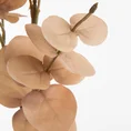 EUKALIPTUS - gałązka ozdobna, sztuczny kwiat dekoracyjny - 90 cm - beżowy 2