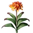 KLIWIA POMARAŃCZOWA Sztuczny kwiat dekoracyjny z pianki foamiran - dł. 67 cm dł. kwiat 35 cm śr. 15 cm - pomarańczowy 1