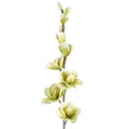 MAGNOLIA - sztuczny kwiat dekoracyjny z pianki foamirian - ∅ 12 x 104 cm - zielony 1